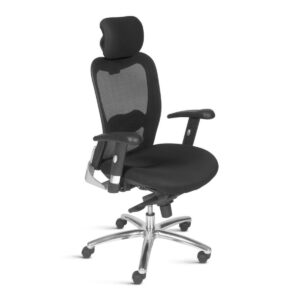 Caderia Presidente New Ergon