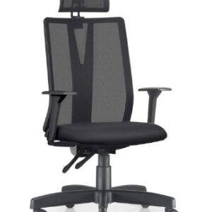 Cadeira Presidente Addit Back System NR17