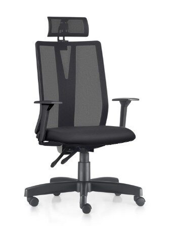 Cadeira Presidente Addit Back System NR17